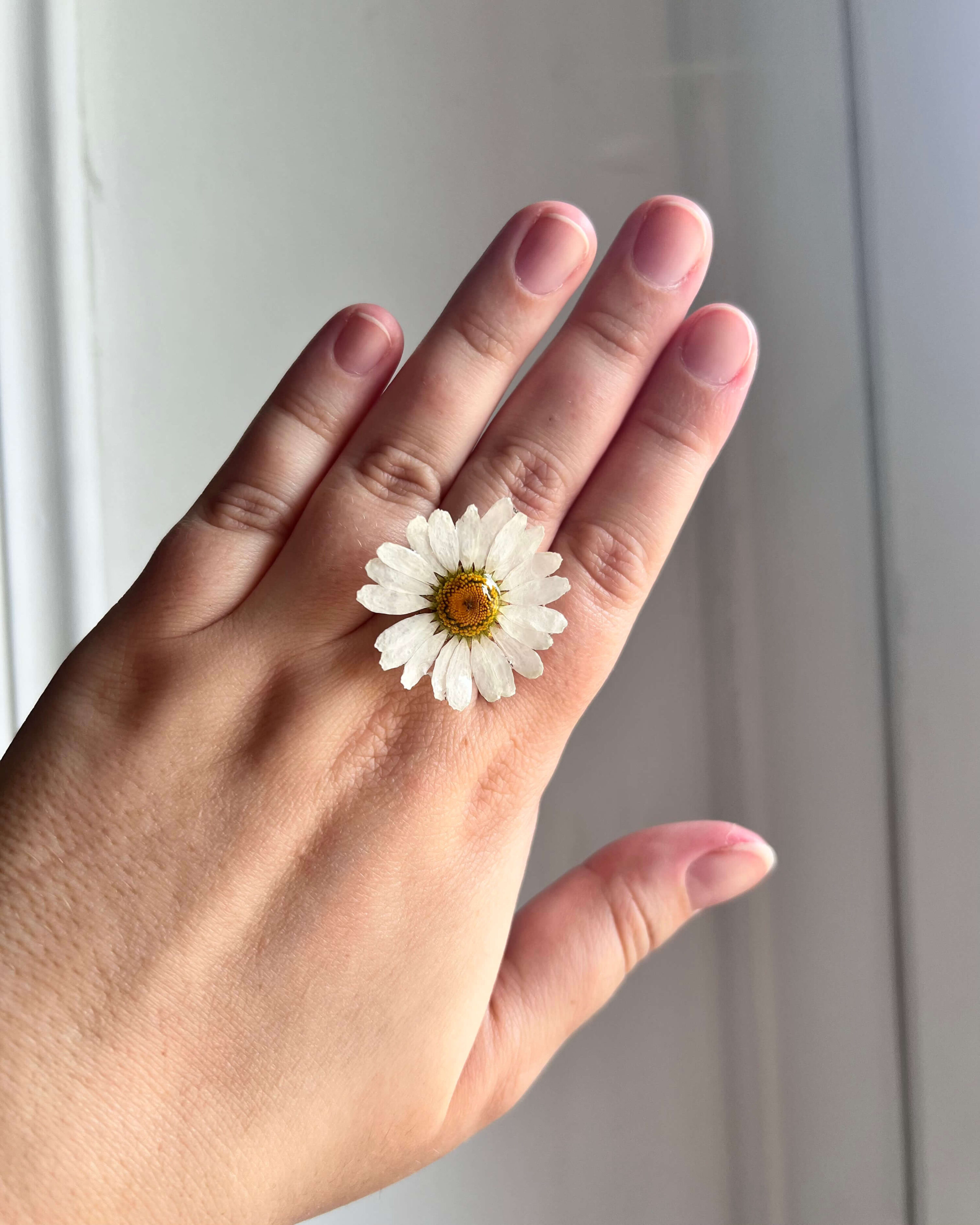 Bague Salomé (Or ou Argent)