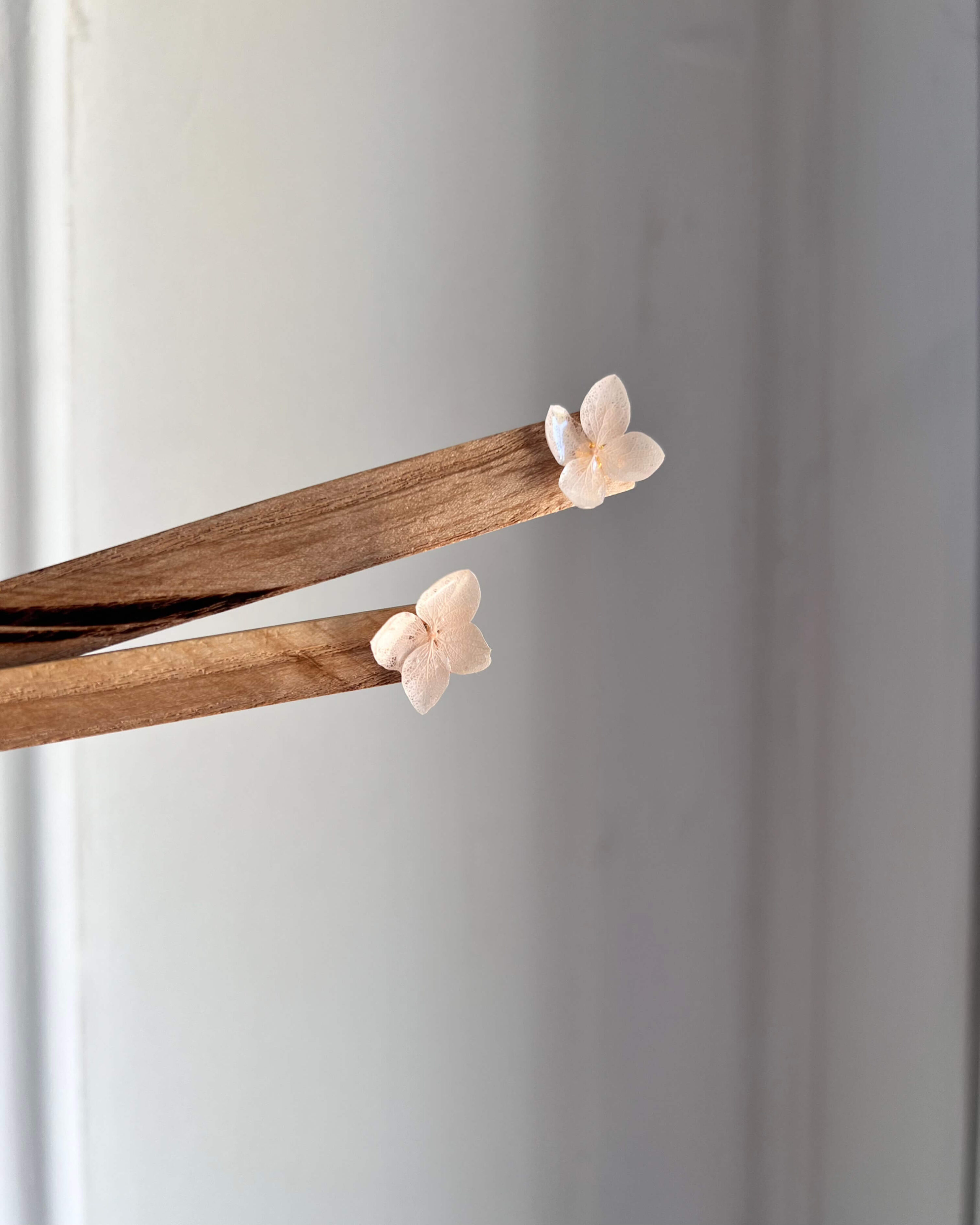 Puces d’oreilles Charline